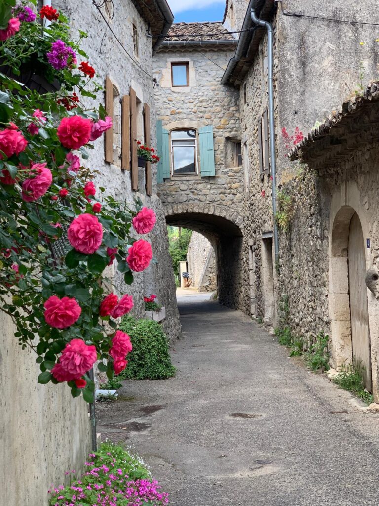 WhatsApp Image 2026-02-28 at 18.55.16