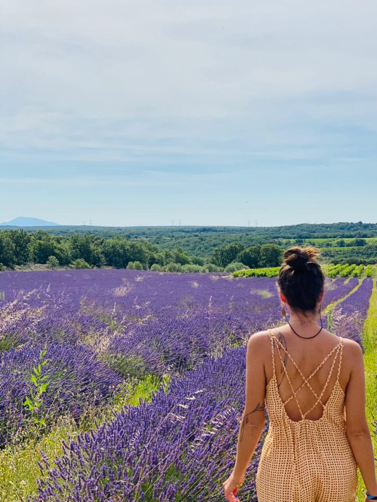 WhatsApp Image 2026-02-28 at 19.18.21