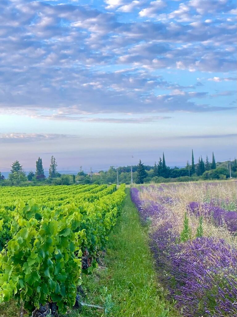 WhatsApp Image 2026-02-28 at 19.29.05