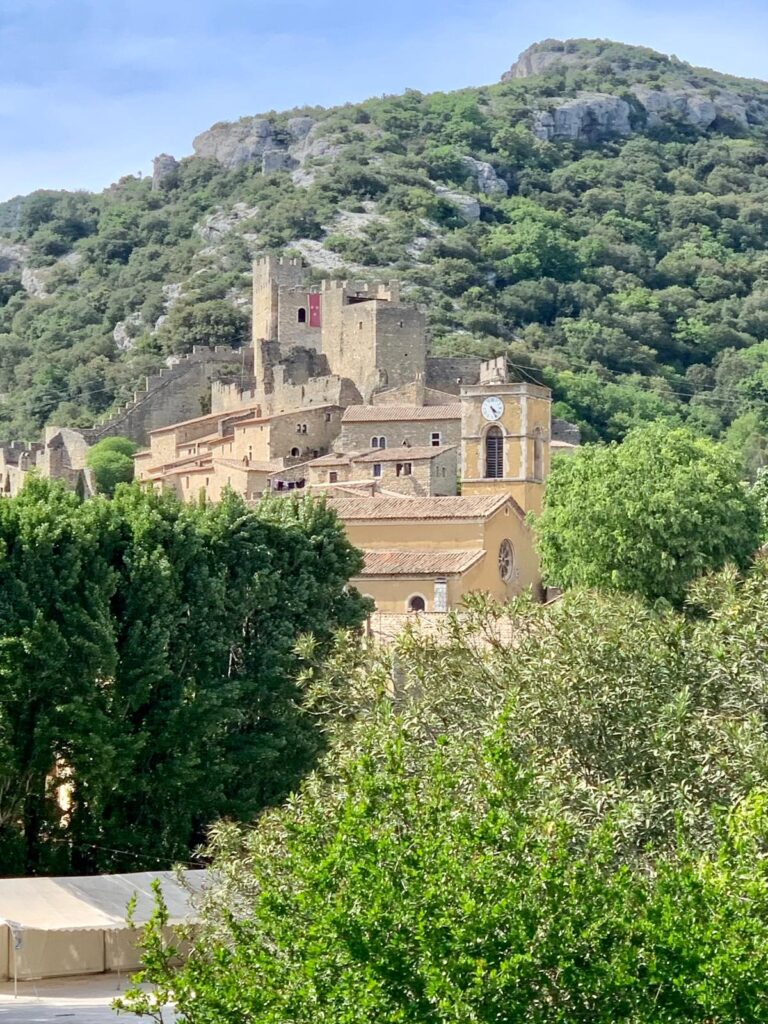 WhatsApp Image 2026-02-28 at 19.33.02