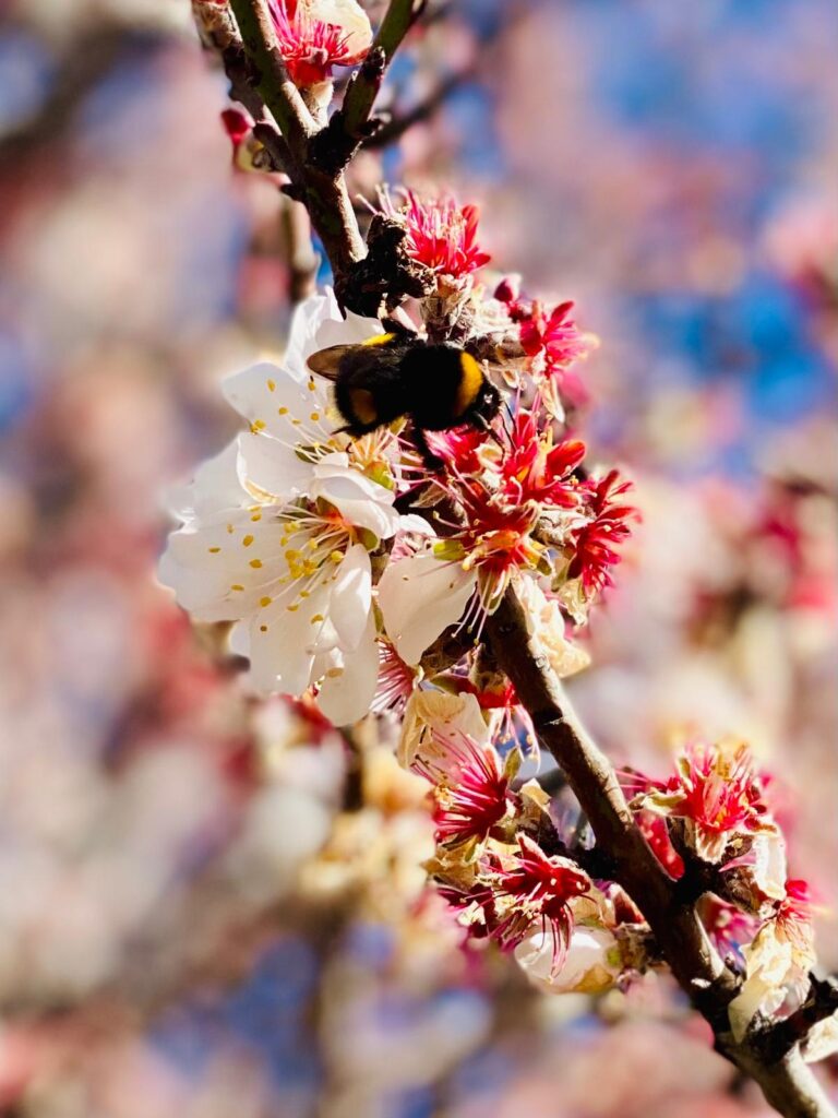 WhatsApp Image 2026-02-28 at 19.35.59 (1)