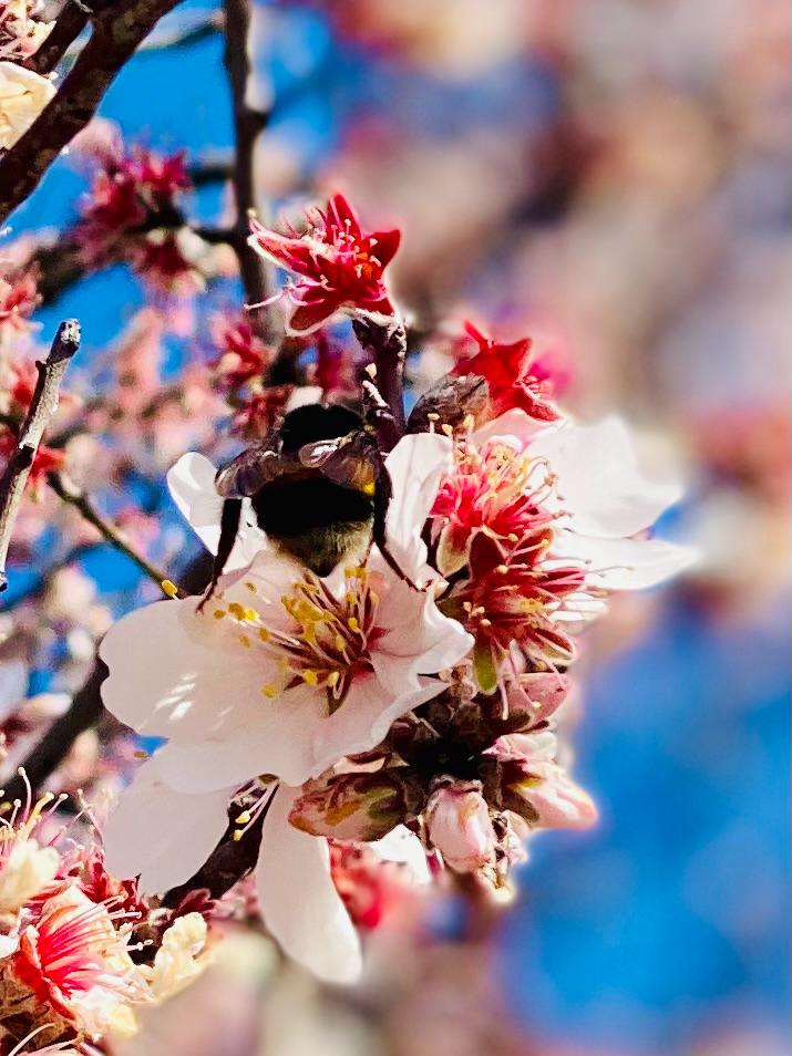 WhatsApp Image 2026-02-28 at 19.35.59