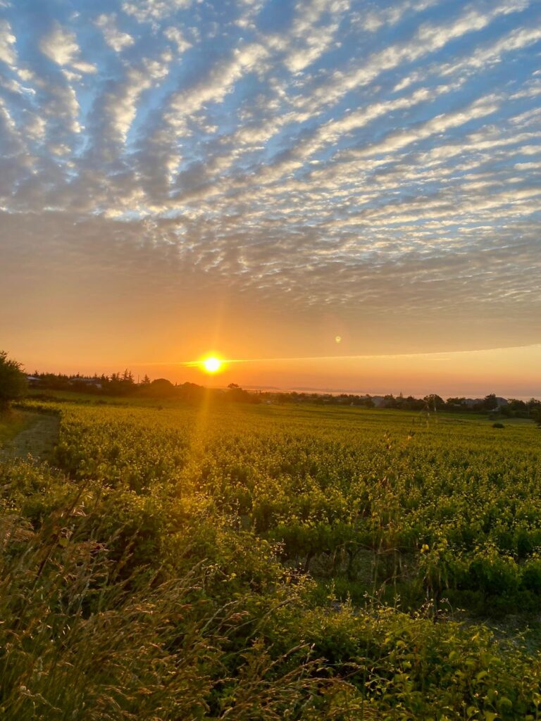 WhatsApp Image 2026-02-28 at 19.43.23 (1)