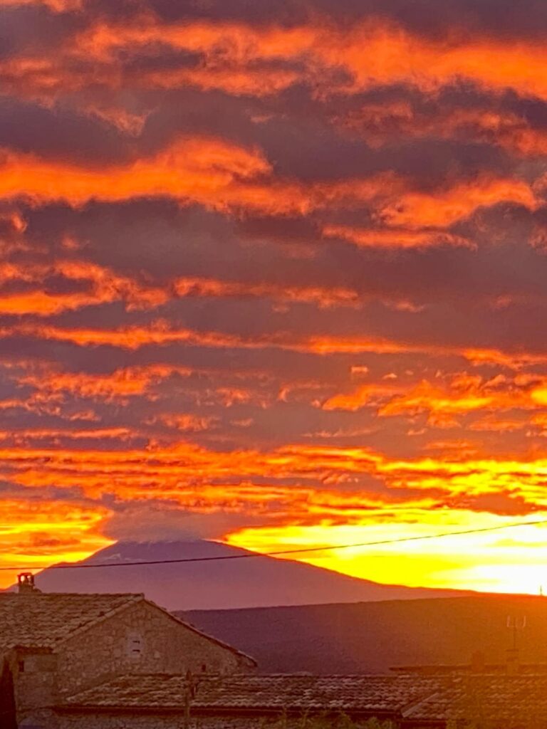 WhatsApp Image 2026-02-28 at 19.43.23