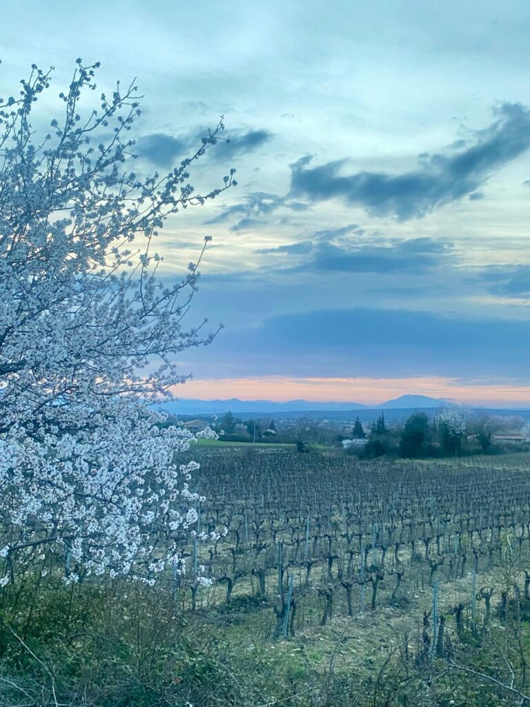 WhatsApp Image 2026-03-01 at 07.27.08