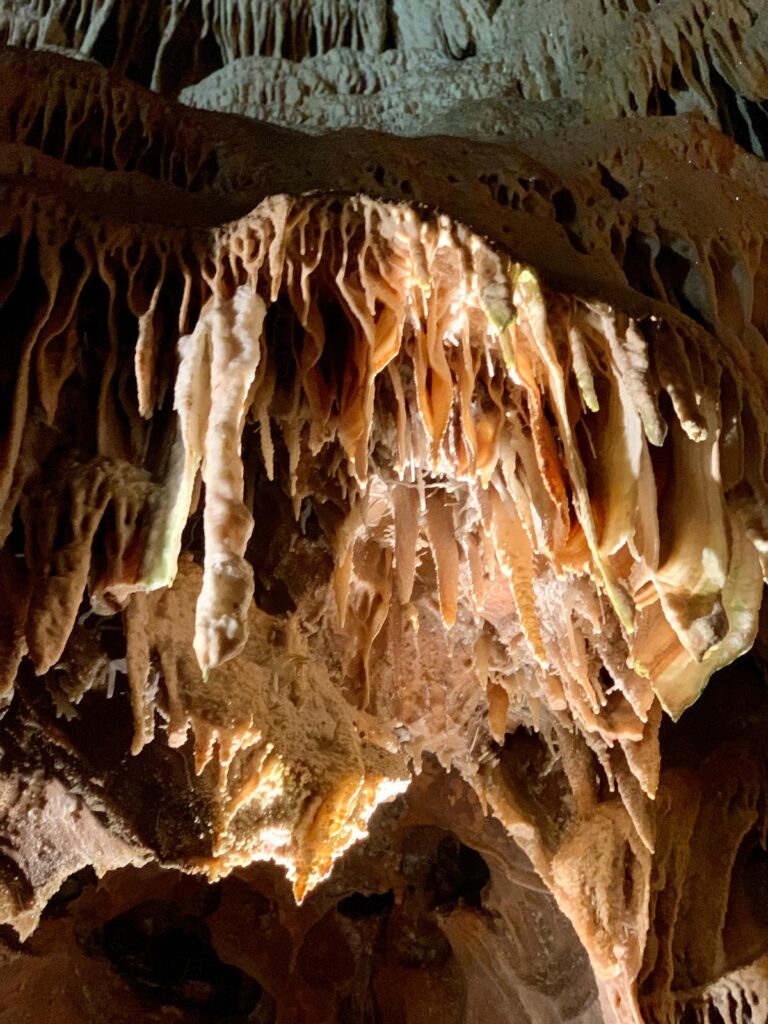 WhatsApp Image 2026-03-13 at 14.04.22 (1)