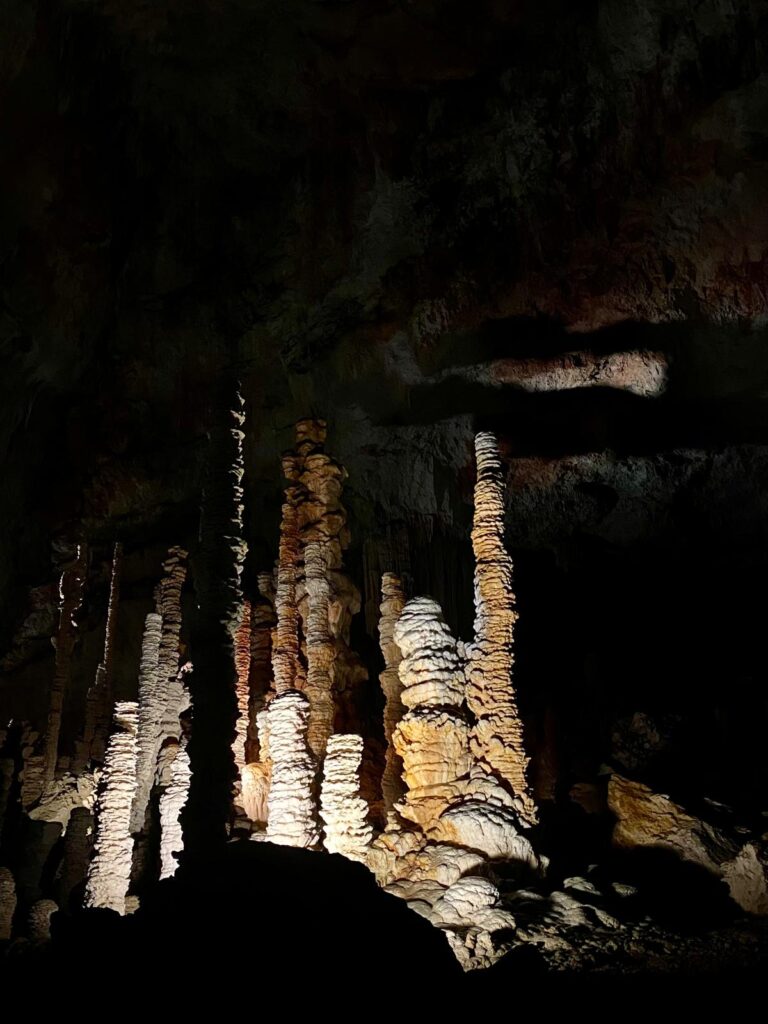 WhatsApp Image 2026-03-13 at 14.04.22 (2)